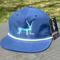 Black Buck