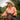 San Jac Women's Long Sleeve Performance Shirt - Coral-Long Sleeve Shirt-San Jac Outdoors